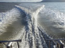Intervention in Guyana for pilot boat motorisation